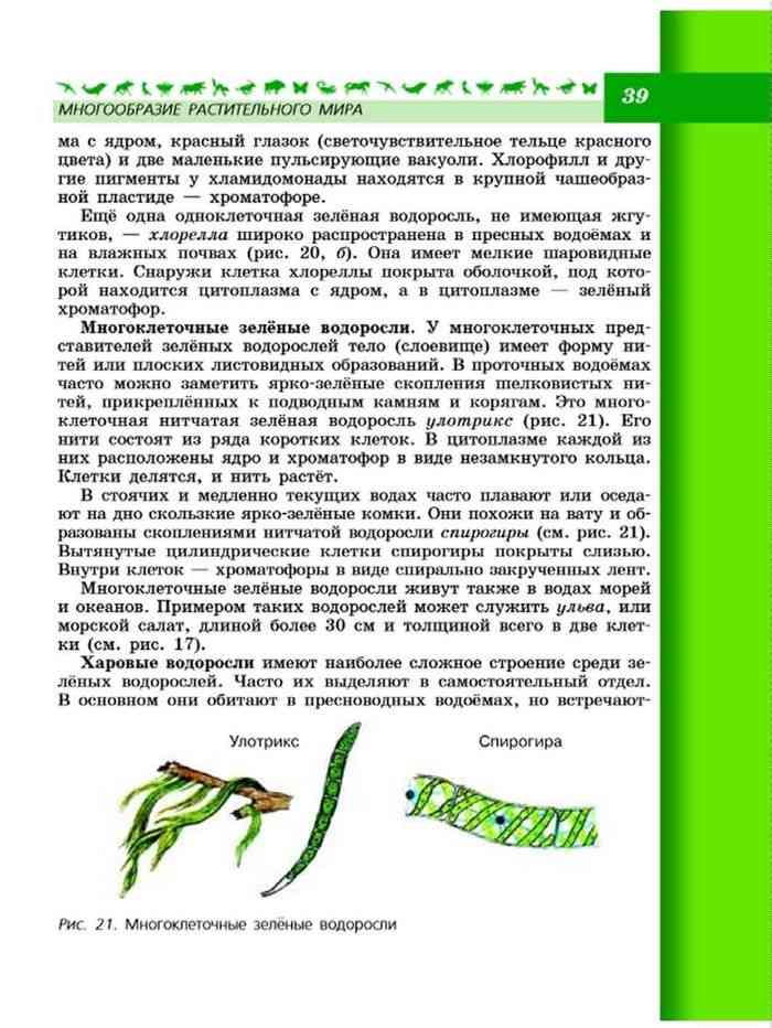 Учебник Биология 7 класс Пасечник Суматохин читать онлайн